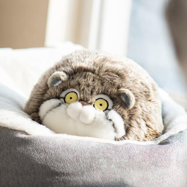 KEAIART Chubby Pallas's Cat Plush Toy Review: Worth $49.99?