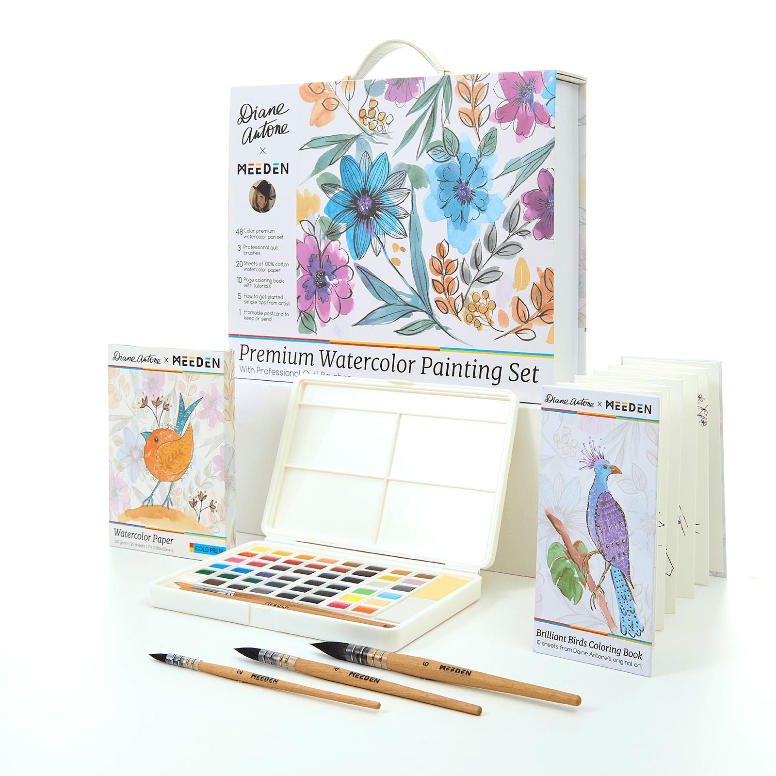 MEEDEN x Diane Antone Watercolor Paint Set Review: Worth $69.95?