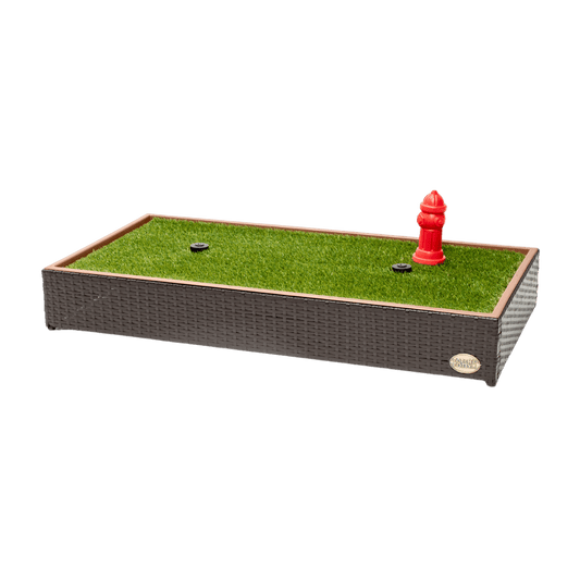 Porch Potty PREMIUM Review: Is the $329.95 Dog Grass Potty Worth It?